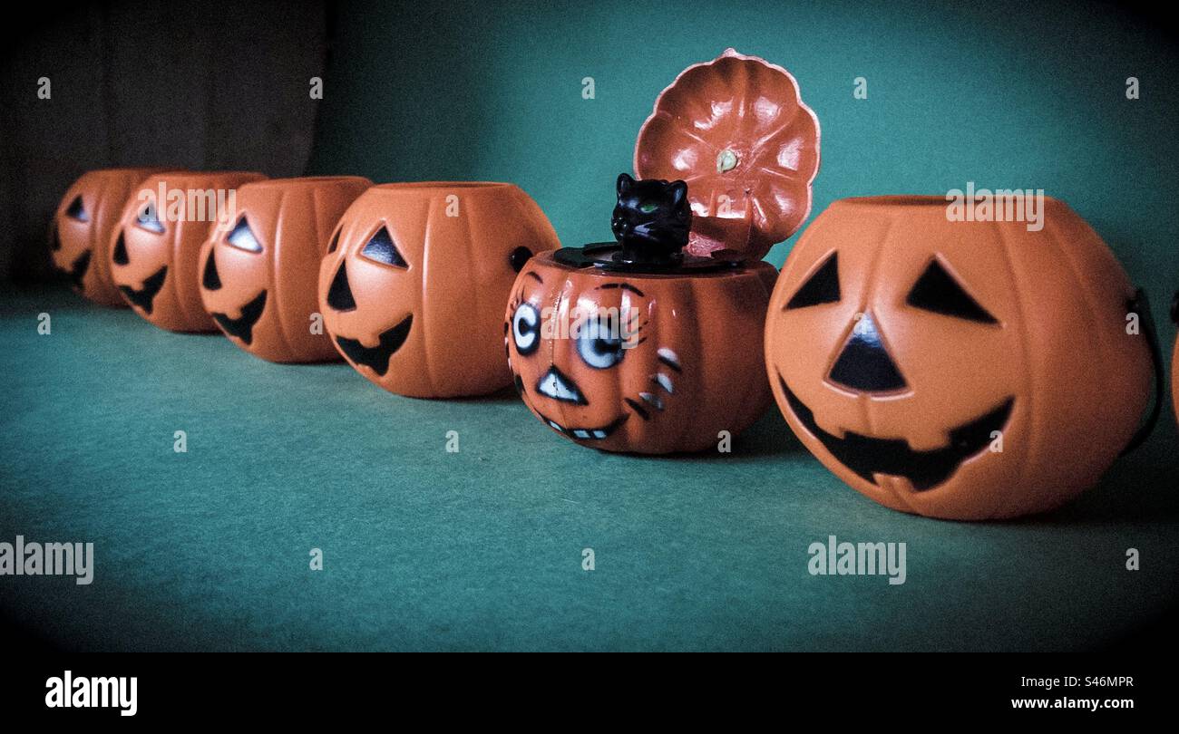 A row of plastic Jack o Lanterns with a black cat popping out the top of one. - Smartphone Captured Stock Image