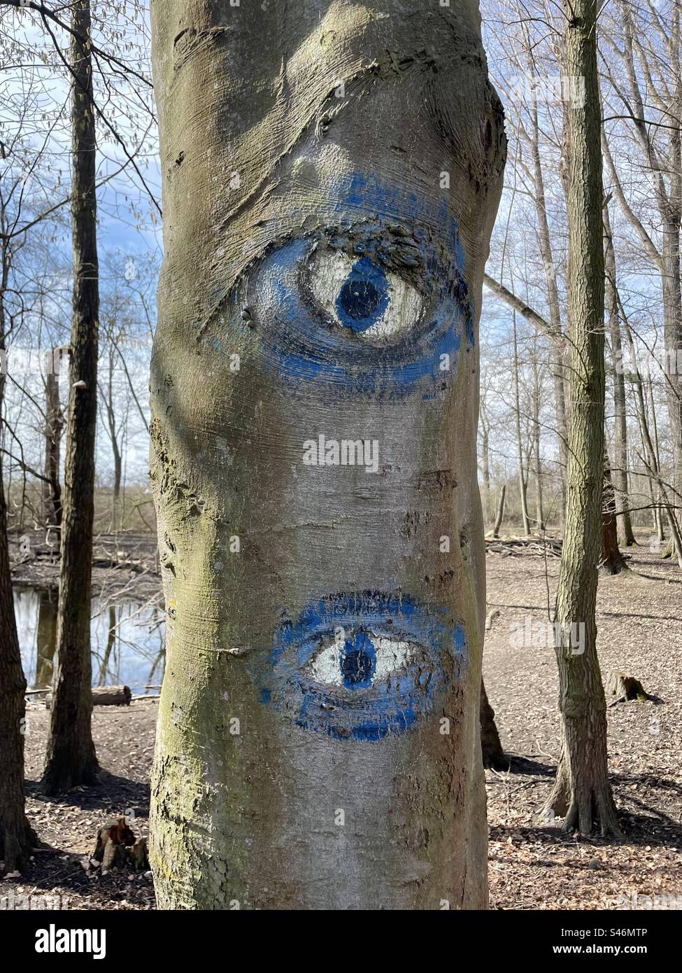 A tree trunk adorned with whimsical blue-painted eyes, infusing a touch of enchantment into the natural world. Stock Photo