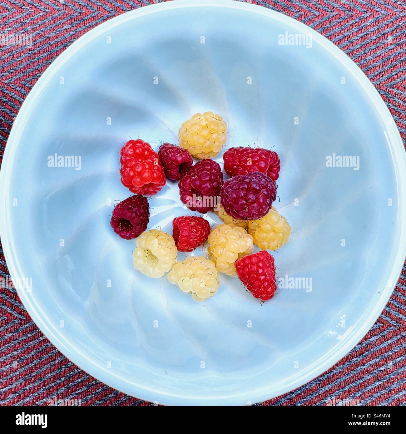 Bowl of raspberries Stock Photo