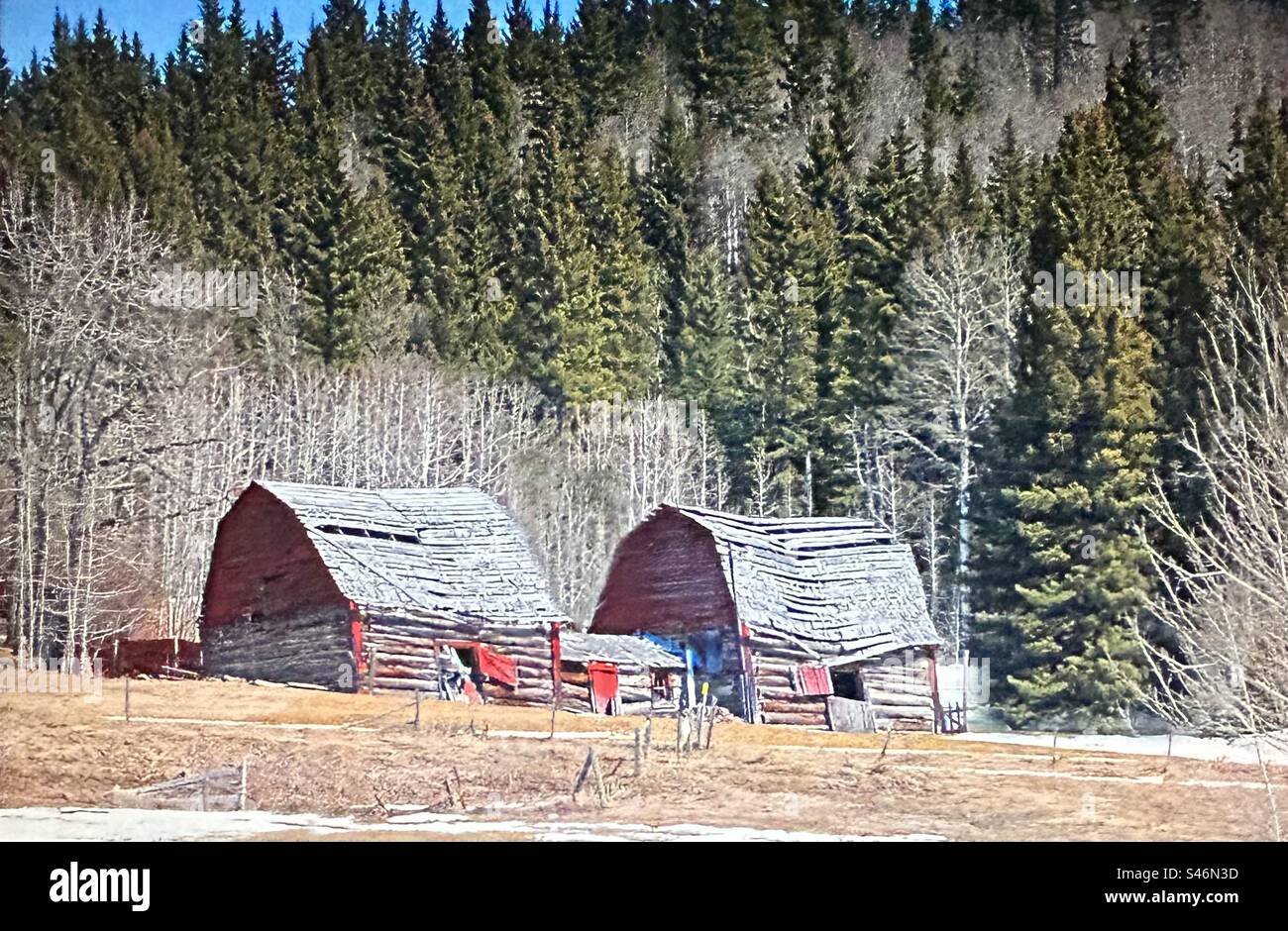 Twin barns, two barns, historic, repair needed, sagging, sway back - Smartphone Captured Stock Image