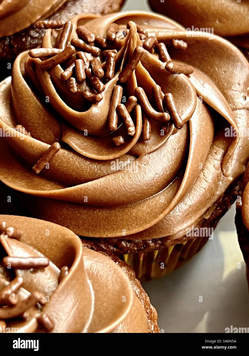 Chocolate cupcakes with chocolate sprinkles Stock Photo