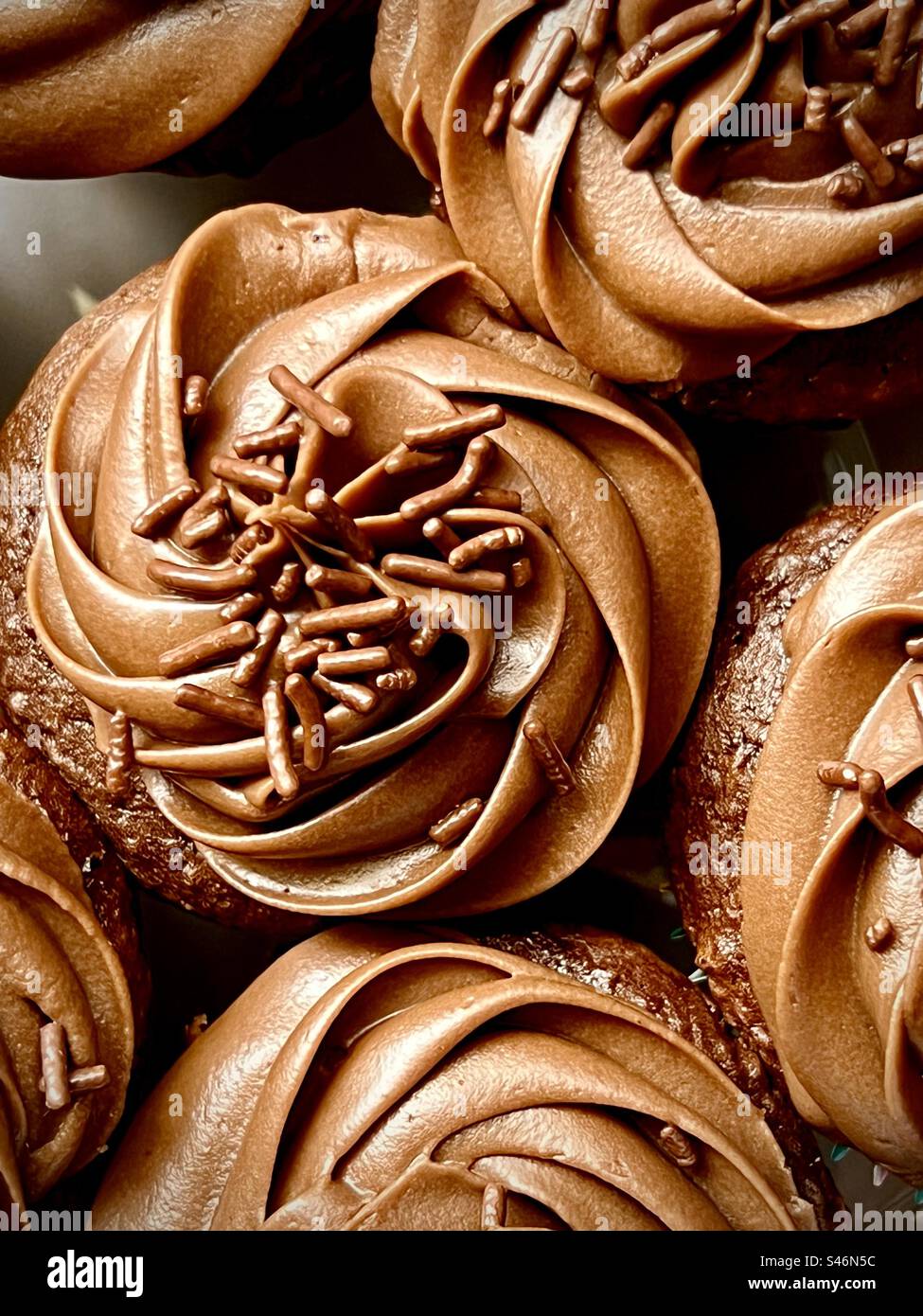 Chocolate cupcakes, top down view Stock Photo