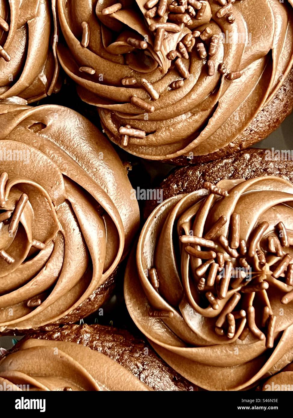 Chocolate cupcakes viewed from above Stock Photo