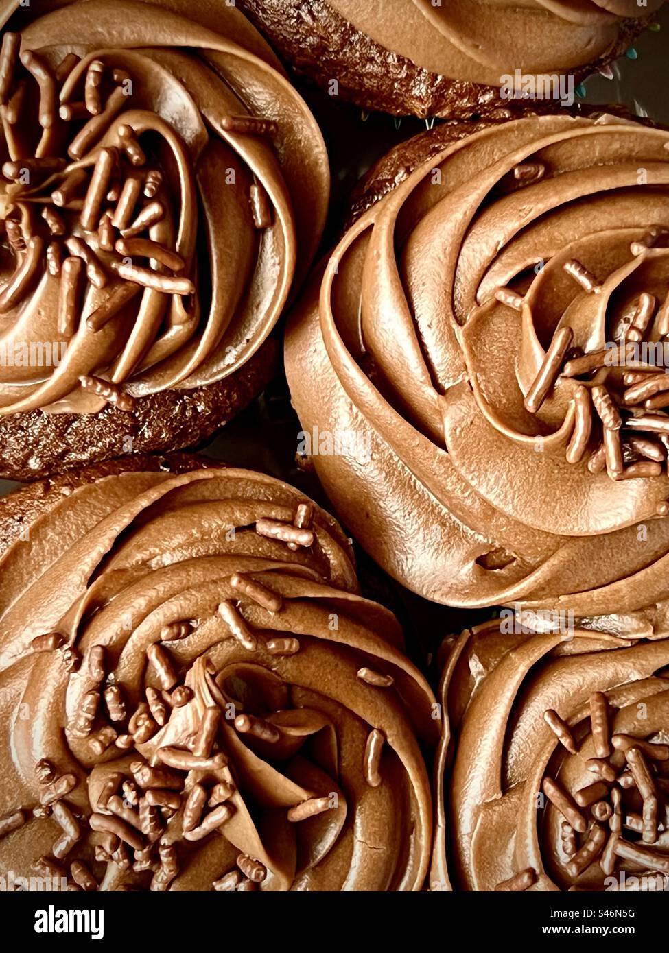 Chocolate cupcakes viewed from above Stock Photo
