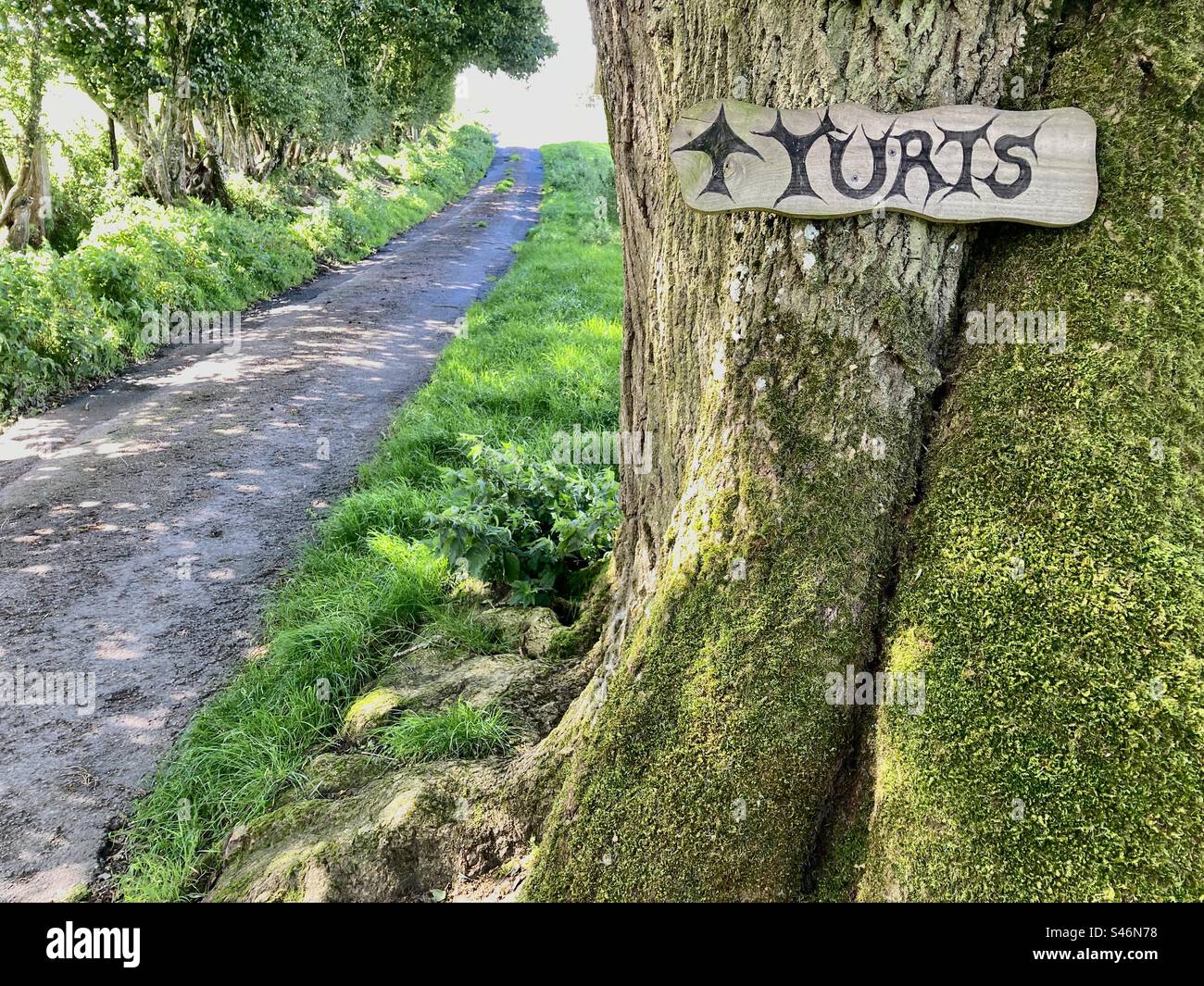 Yurts this way: sign on tree pointing to Yurt Campsite near Kerry Ridgeway, Newtown, Powys, Wales - Smartphone Captured Stock Image