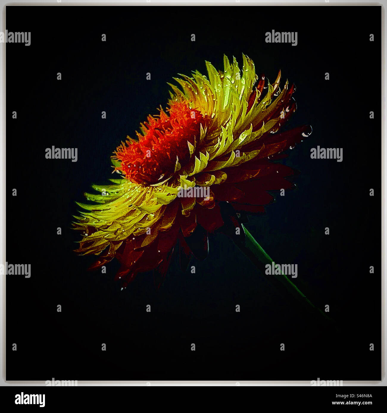 Colour colourful water hi-res stock photography and images - Alamy