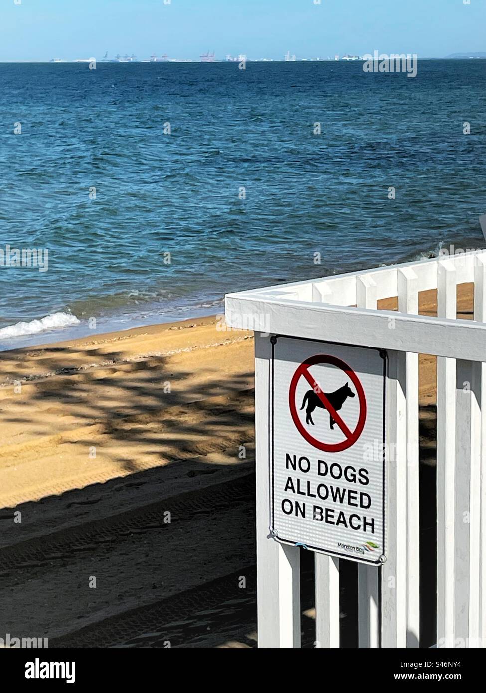 Sign on beach shelter no dogs allowed on beach Stock Photo Alamy