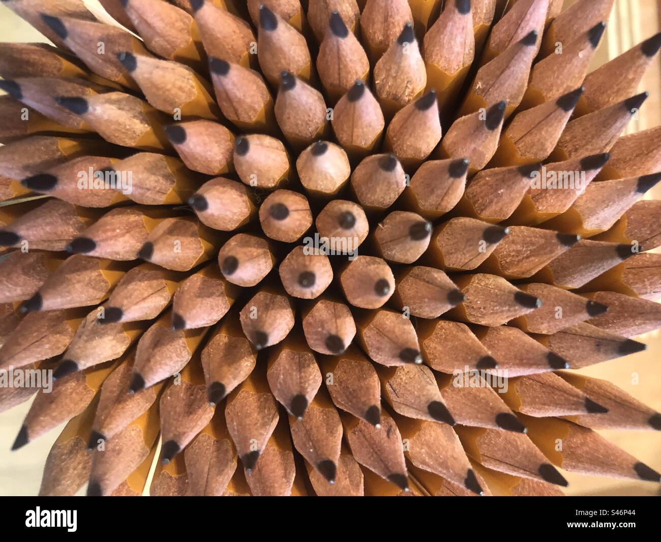 Tip of Pencils Stock Photo