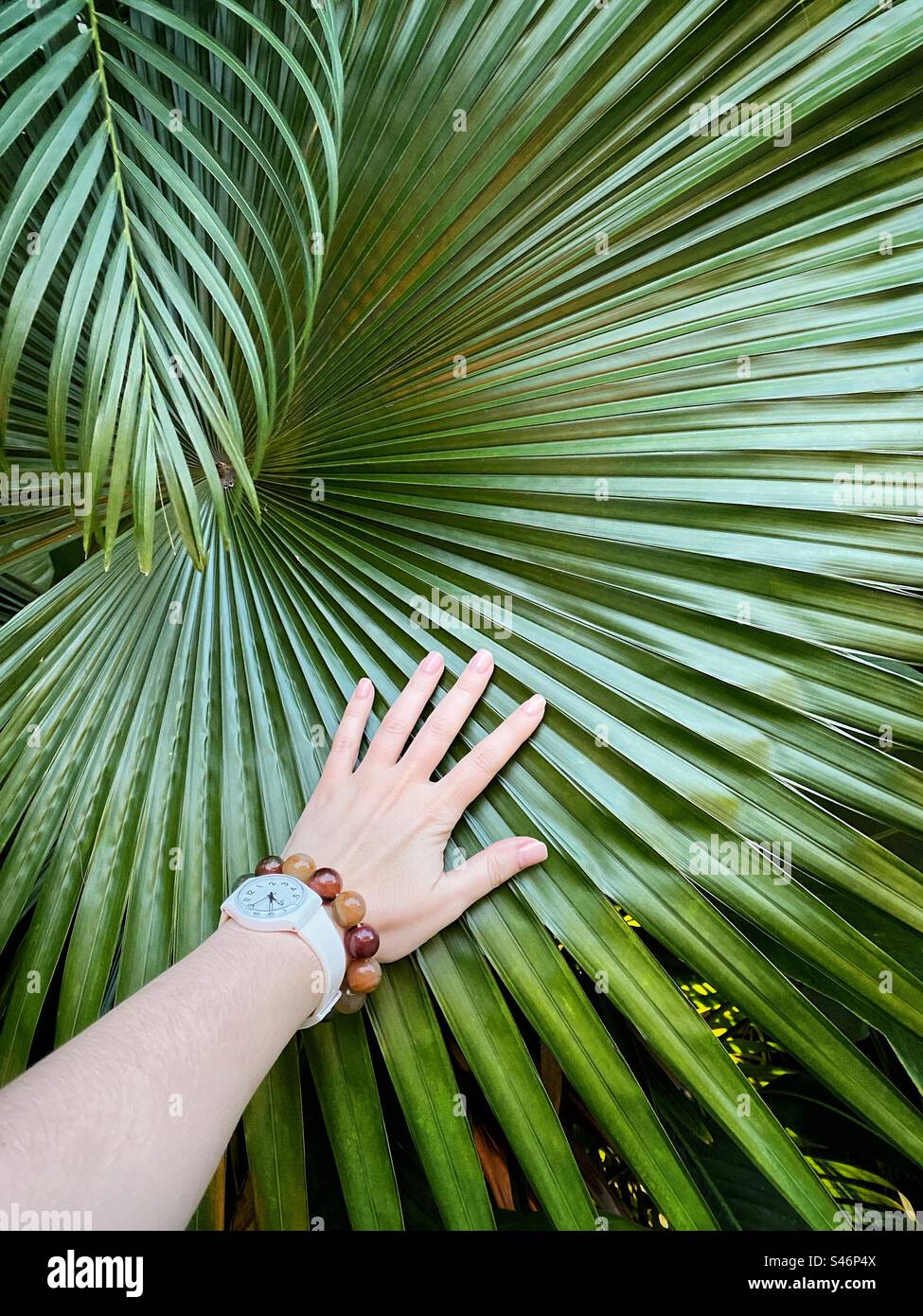 In touch with nature - Smartphone Captured Stock Image