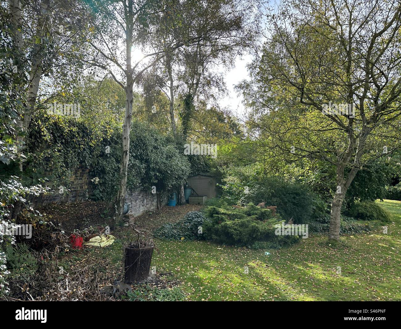 View of a small garden, with plants, bushes, and trees in, Apperley