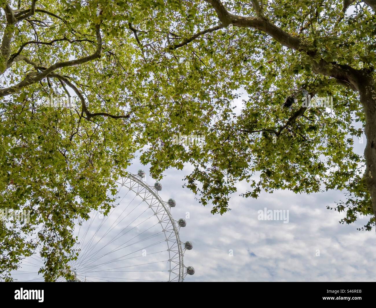 The London Eye. - Smartphone Captured Stock Image