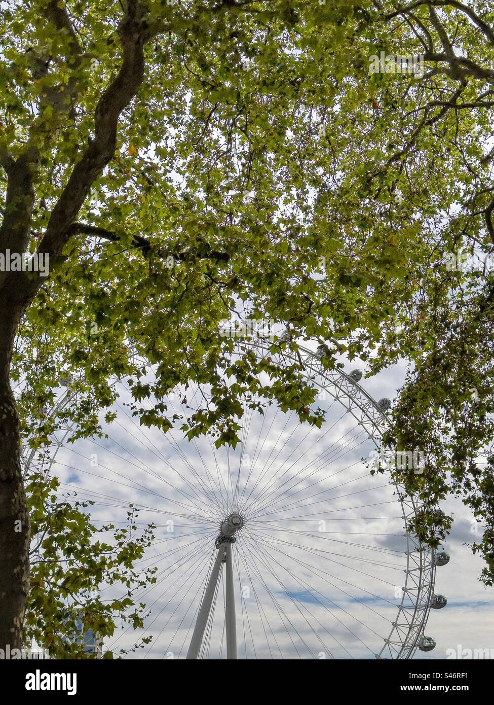 The London Eye - Smartphone Captured Stock Image