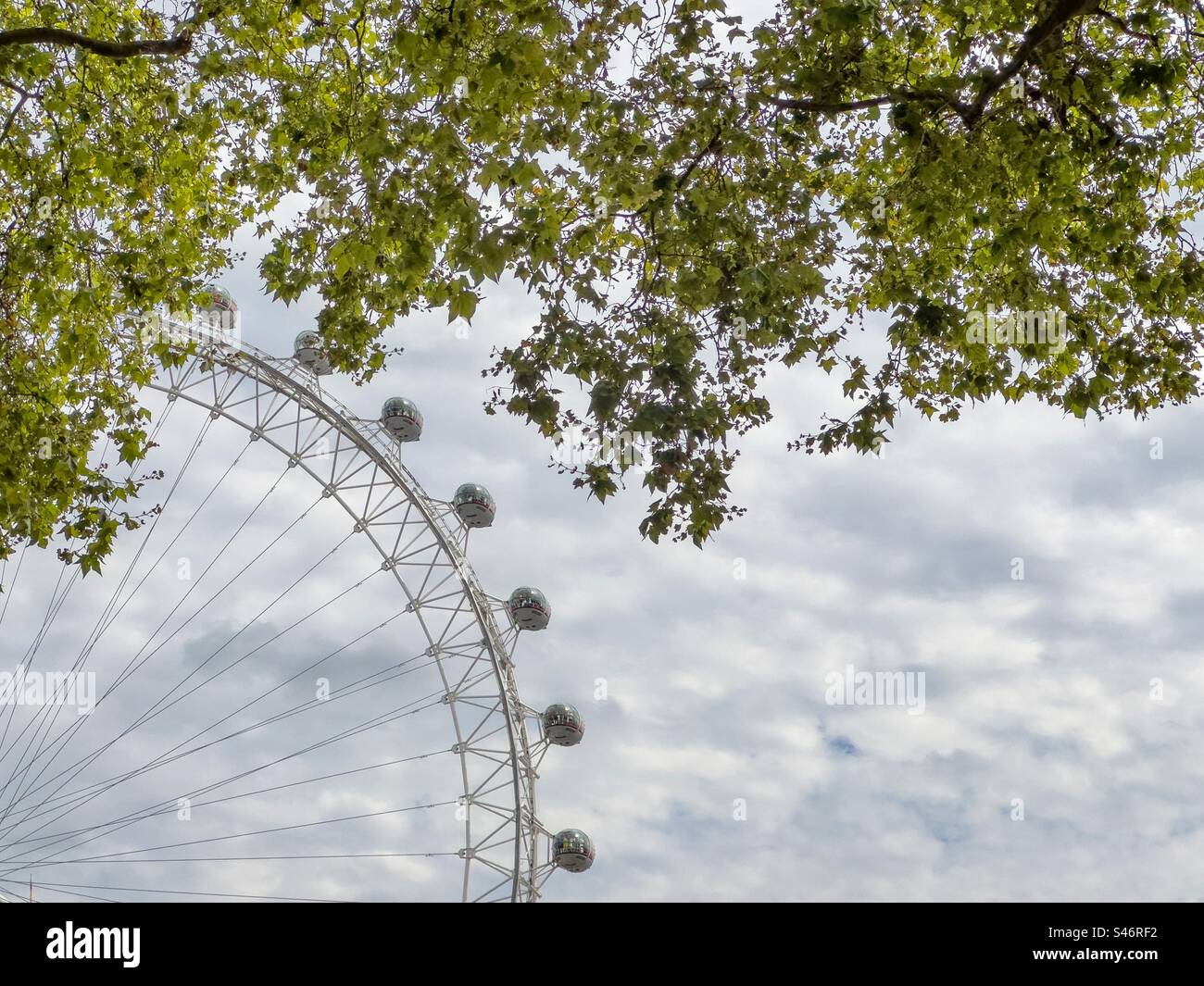 The London Eye - Smartphone Captured Stock Image