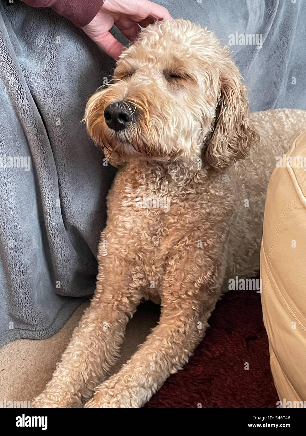 Head massage - Smartphone Captured Stock Image