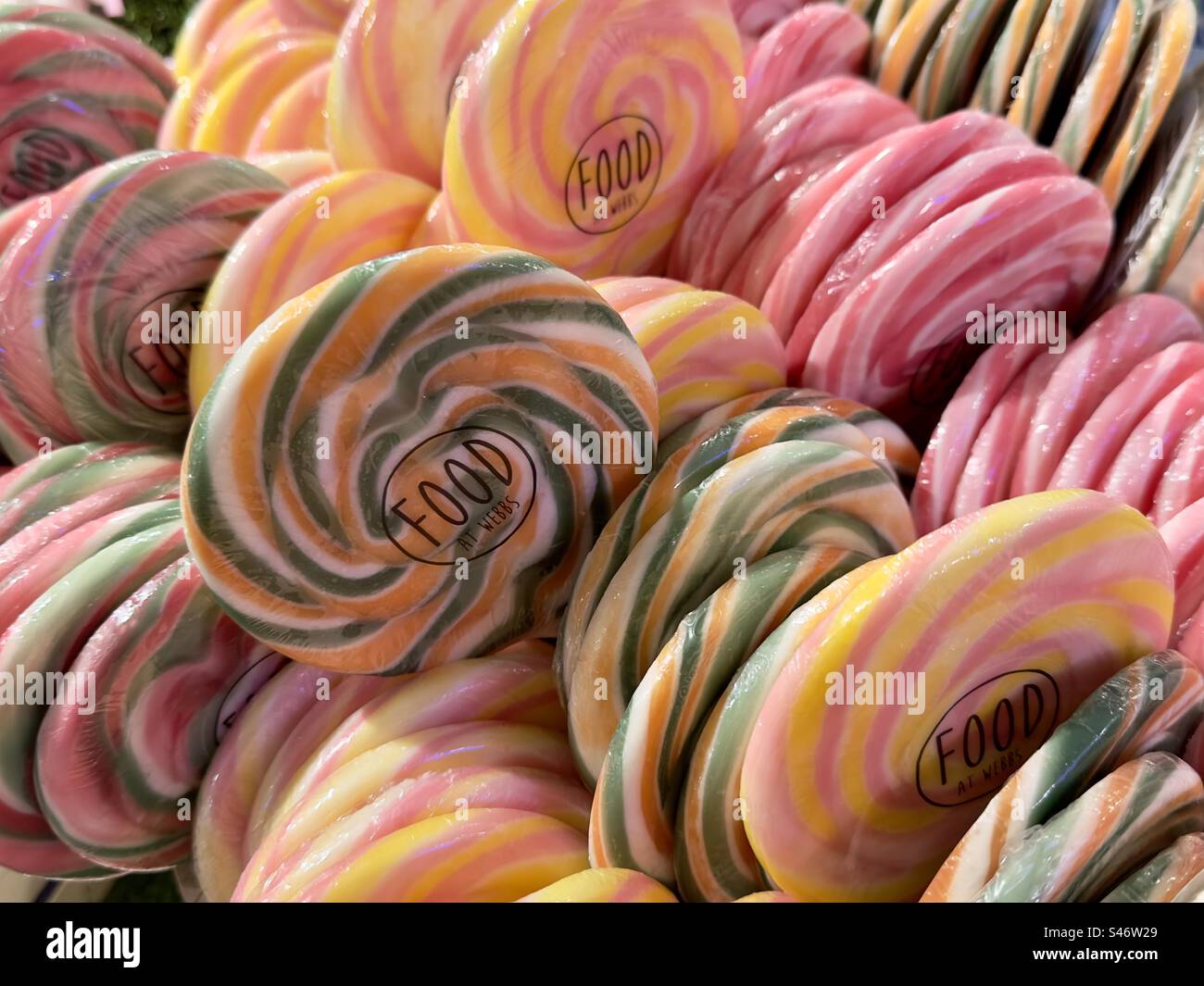 Pink and multicoloured lollipops for sale in Worcestershire garden centre - Smartphone Captured Stock Image