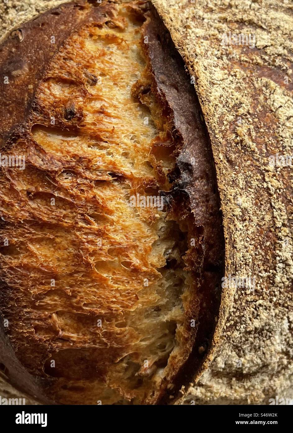 Sourdough bread crust Stock Photo Alamy