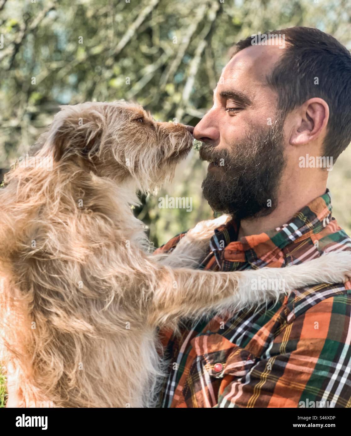 A man & his dog, nose to nose. - Smartphone Captured Stock Image