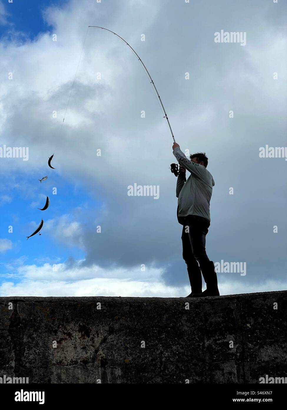 Man catching a string of mackerel off a harbour wall with feathers. Stock Photo
