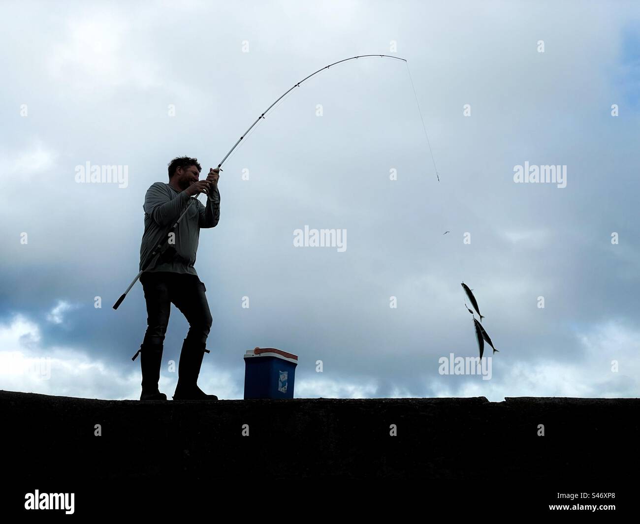 Man catching Mackerel from a harbour wall using feathers. - Smartphone Captured Stock Image