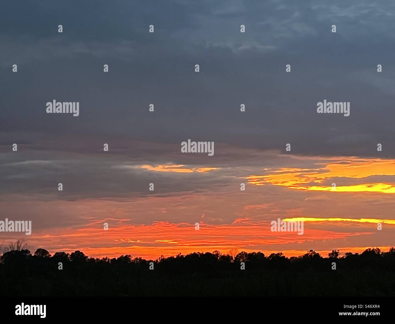 Beautiful dusk in the South - Smartphone Captured Stock Image