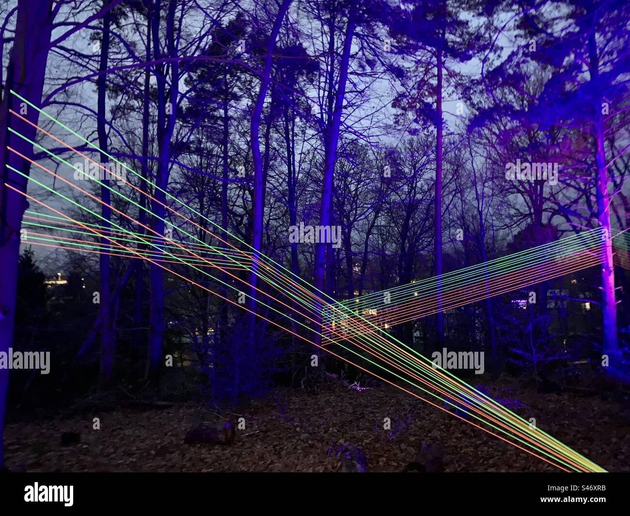 Colourful laser lights shining through trees - Smartphone Captured Stock Image
