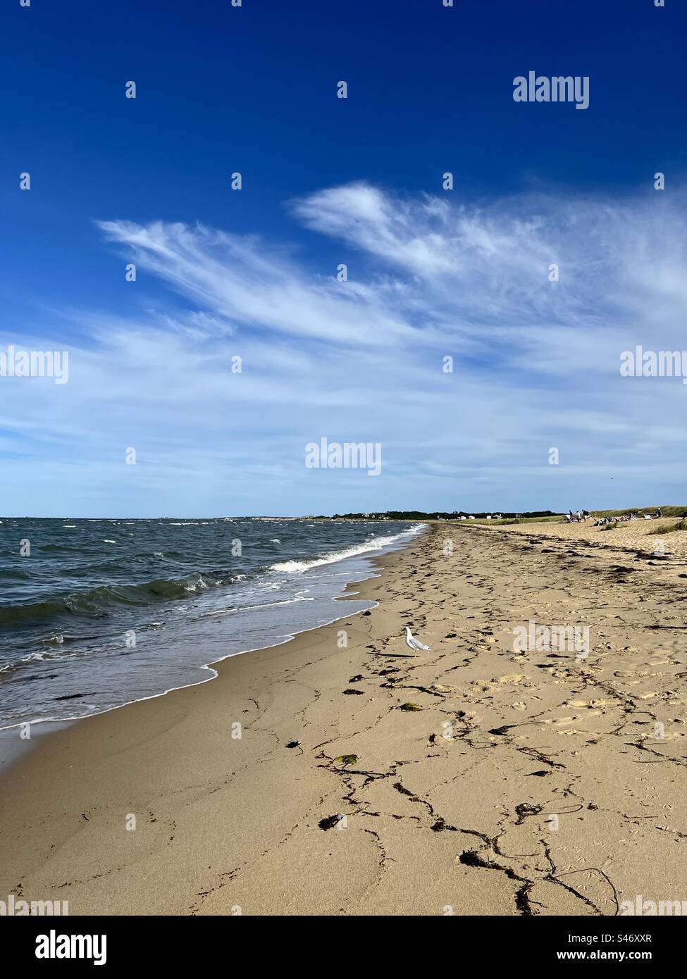 Deserted beach on Martha’s Vineyard Stock Photo - Alamy
