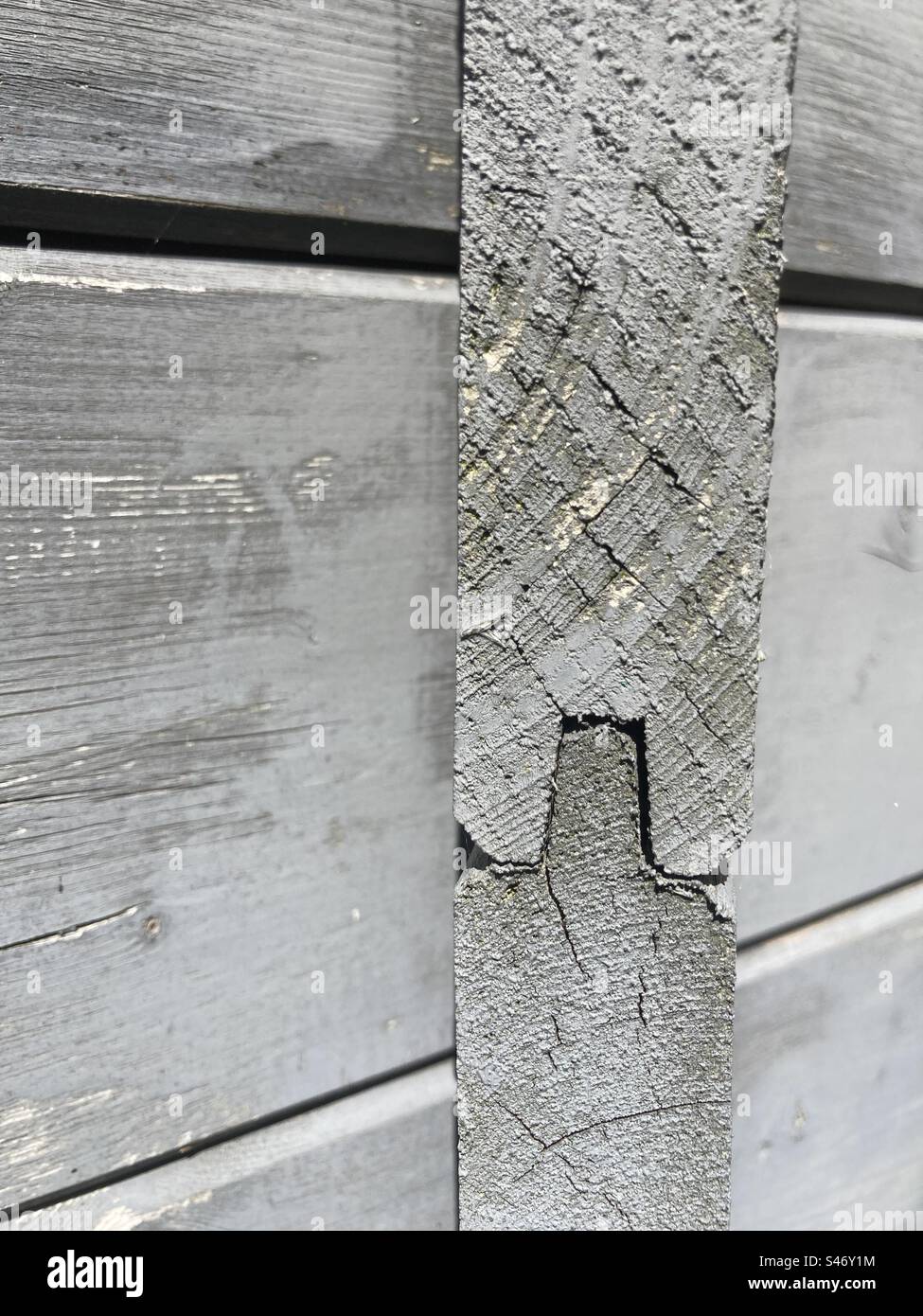 The edge of gray joined tongue and groove boards - Smartphone Captured Stock Image