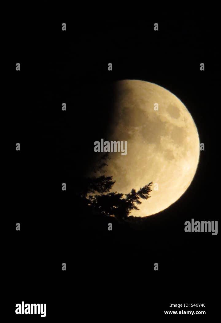 Full Moon - Smartphone Captured Stock Image