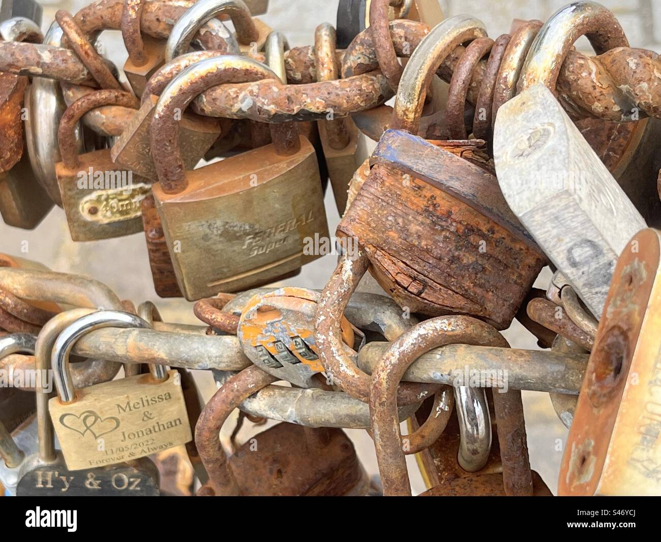 A collection of “ Lovelocks “ - Smartphone Captured Stock Image