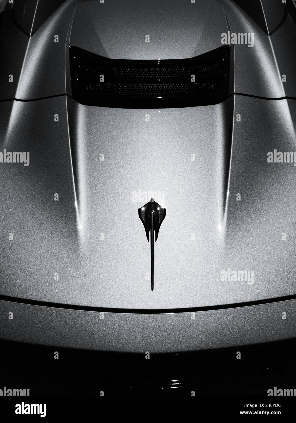 Close-up photo of the Stingray logo on a silver 2023 Chevrolet Corvette Stingray, 70th Anniversary Edition. Stock Photo
