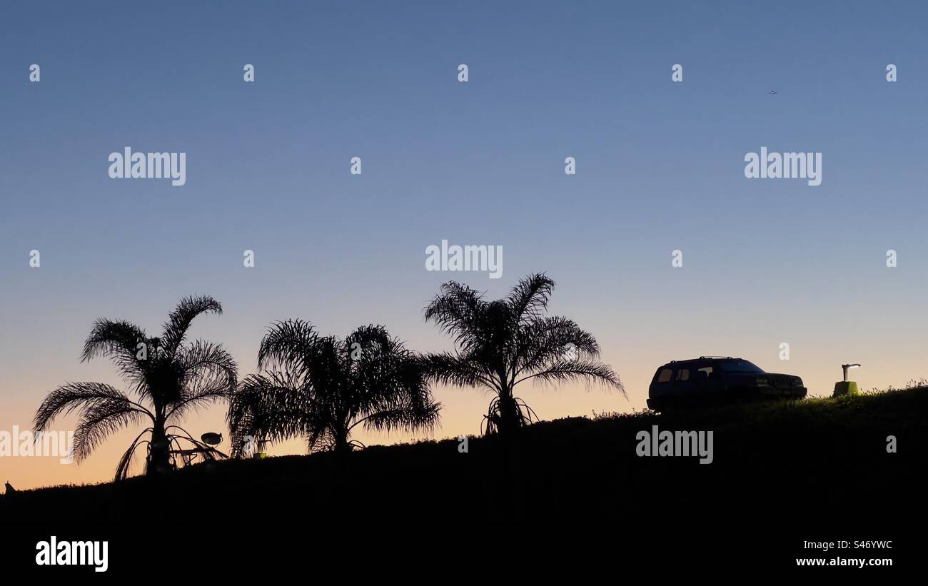 Silhouetted SUV and palm trees at top of hill with orange sunset sky in background Stock Photo