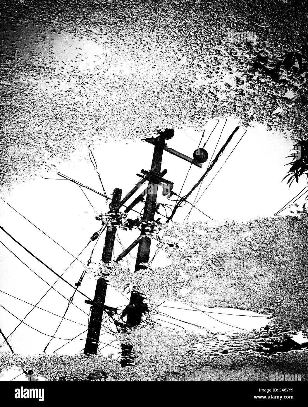 Reflection of electric transmission lines on water Stock Photo Alamy