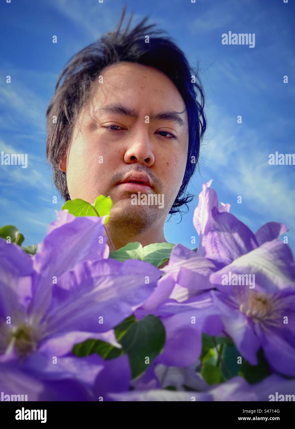 Close-up portrait of young Asian man behind purple flowering clematis plant against blue sky. Headshot. Beauty in nature - Smartphone Captured Stock Image