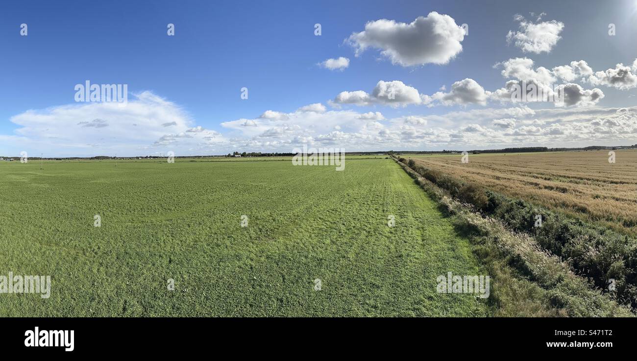 Panoramic rural scenery in Muhos, Finland - Smartphone Captured Stock Image