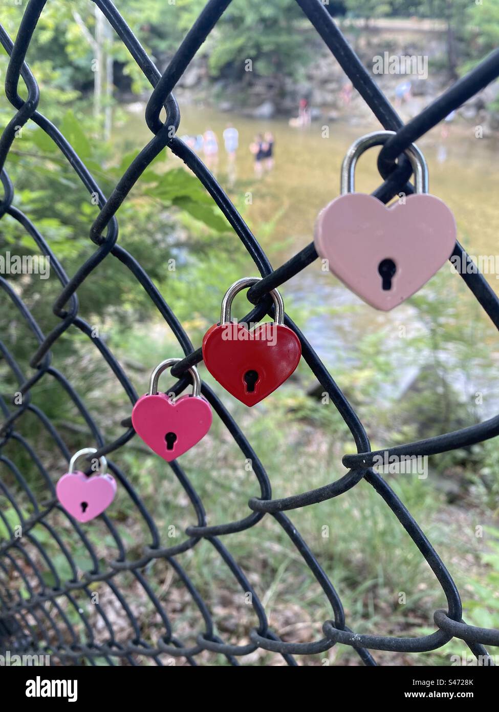 “Love locks” in shades of pink hang from a chain link fence. - Smartphone Captured Stock Image