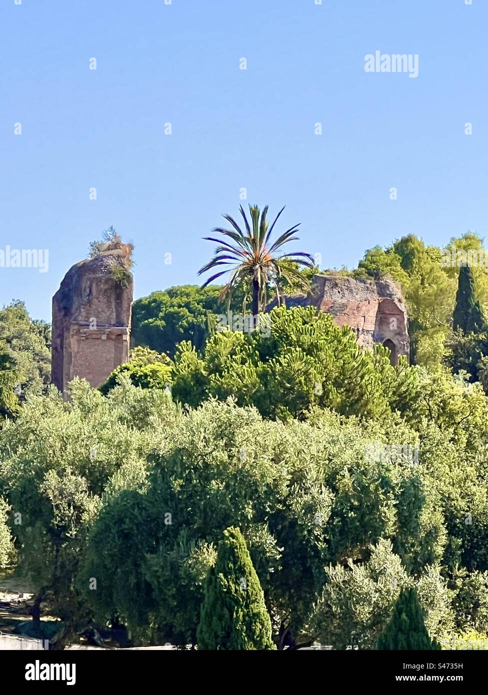Ruins of Terme di Traiano, Baths of Trajan, seen standing between trees in the Parco del Colle Copio in Rome - Smartphone Captured Stock Image