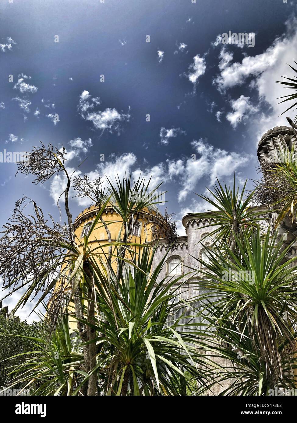 Vegetation and  colourful Palace da Pena in the background , Sintra,Portugal. Symbol of the Portuguese romanticism ( with a multitude of styles and inspiration; gothic,moorish etc). - Smartphone Captured Stock Image