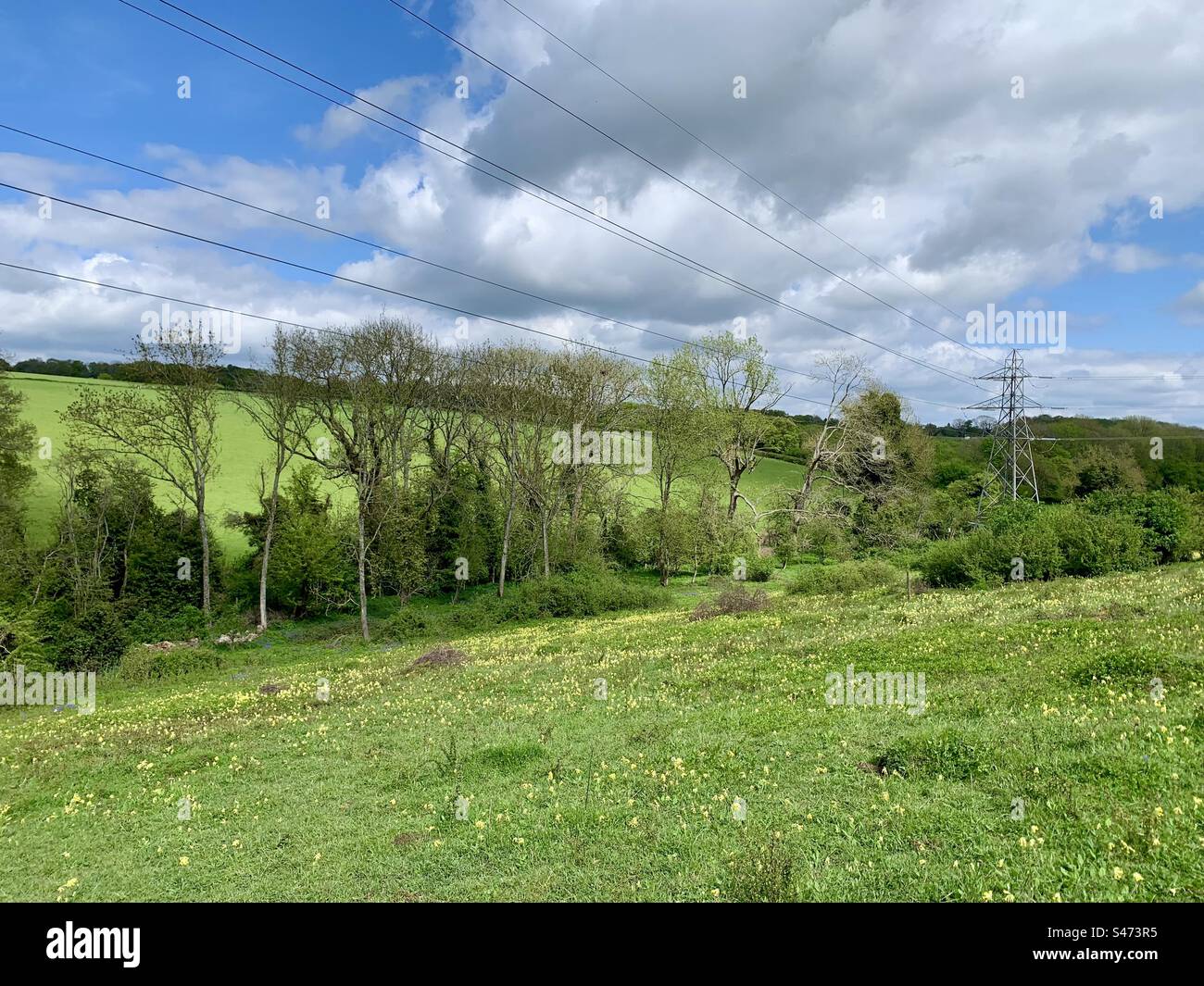 English countryside with row of trees and a pylon Stock Photo