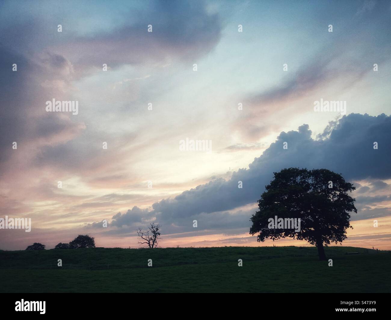 Beautiful moody sunset sky with a line of trees in silhouette - Smartphone Captured Stock Image