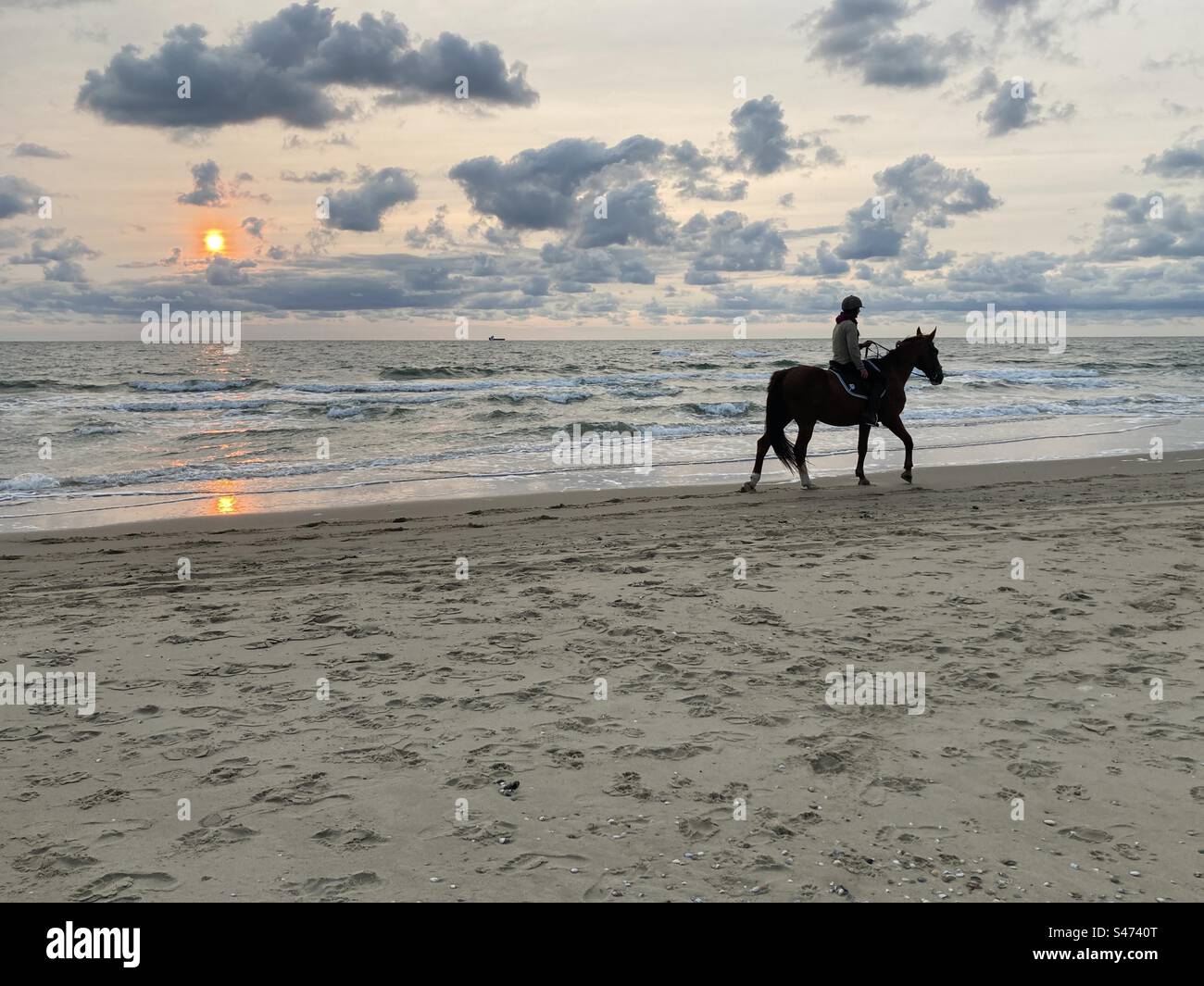 Rider on the evening beach at sunset on the North Sea - Smartphone Captured Stock Image
