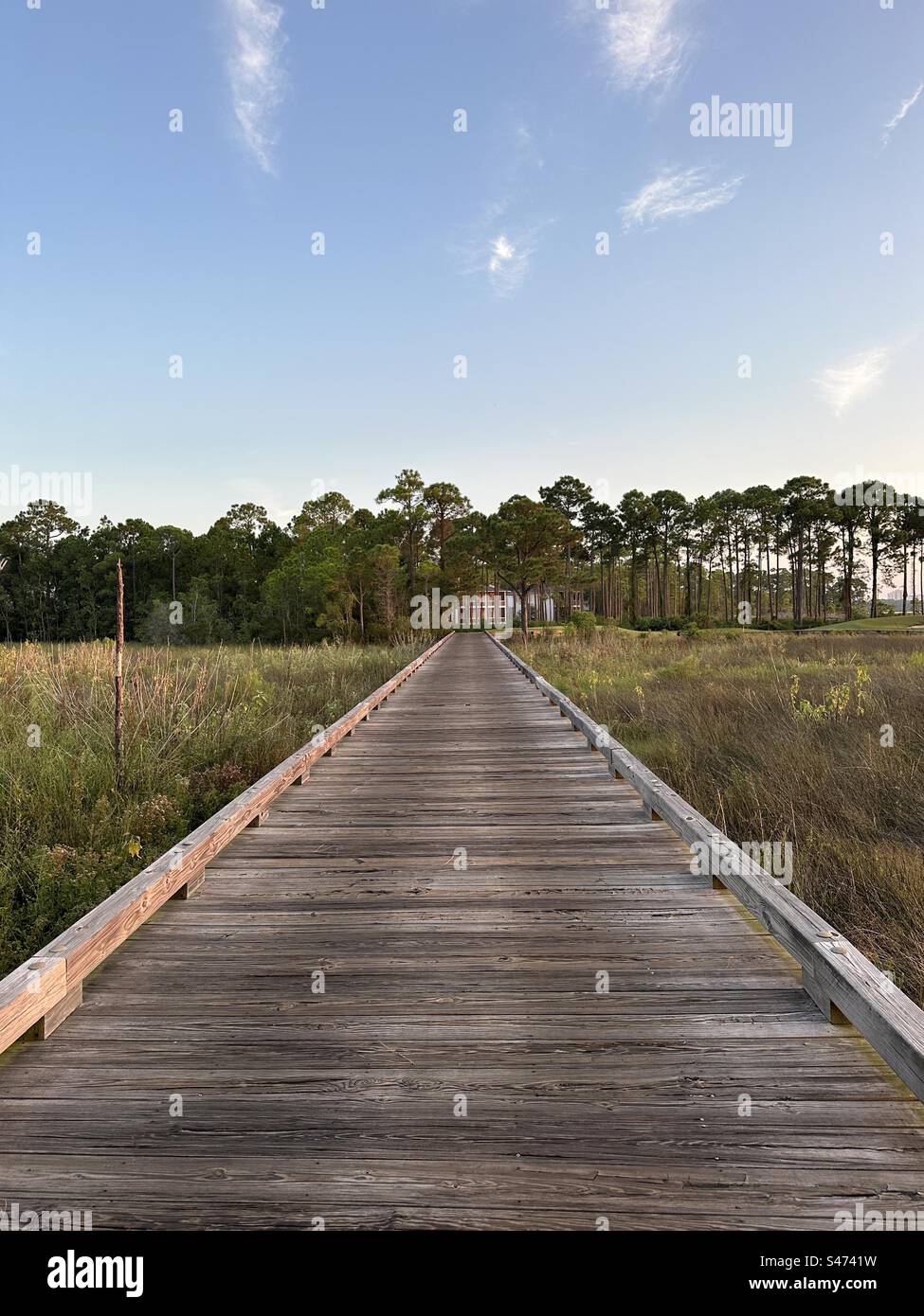 Long wooden bridge over Florida panhandle nature preserve area Stock Photo