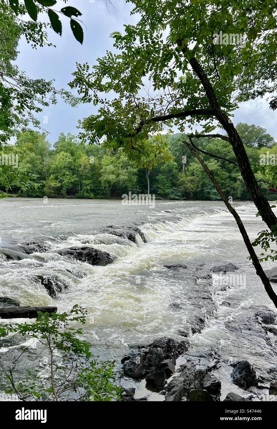 French broad white river Stock Photo Alamy
