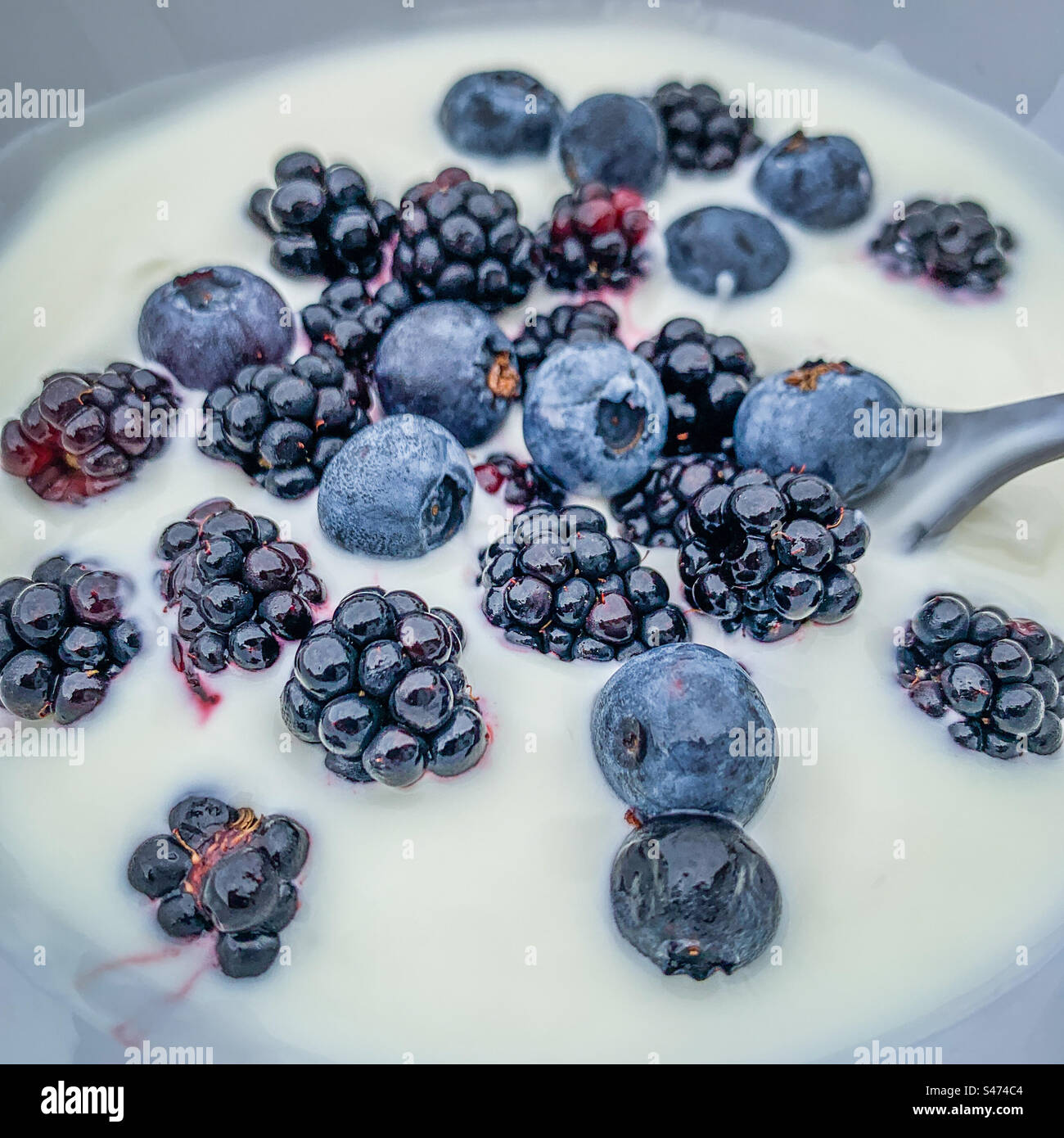 Blackberries and blueberries with Greek yoghurt in a breakfast bowl - Smartphone Captured Stock Image