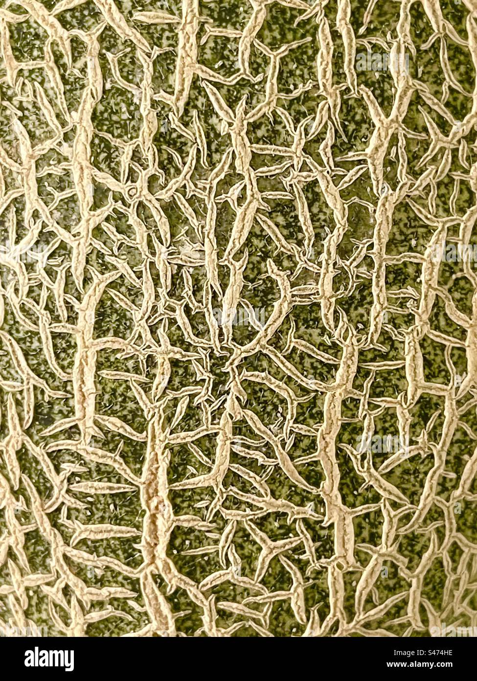 Melon skin pattern. - Smartphone Captured Stock Image