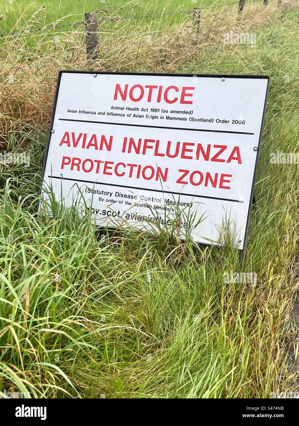 Bird flu Protection Zone Road Sign - News - Editorial - Smartphone Captured Stock Image