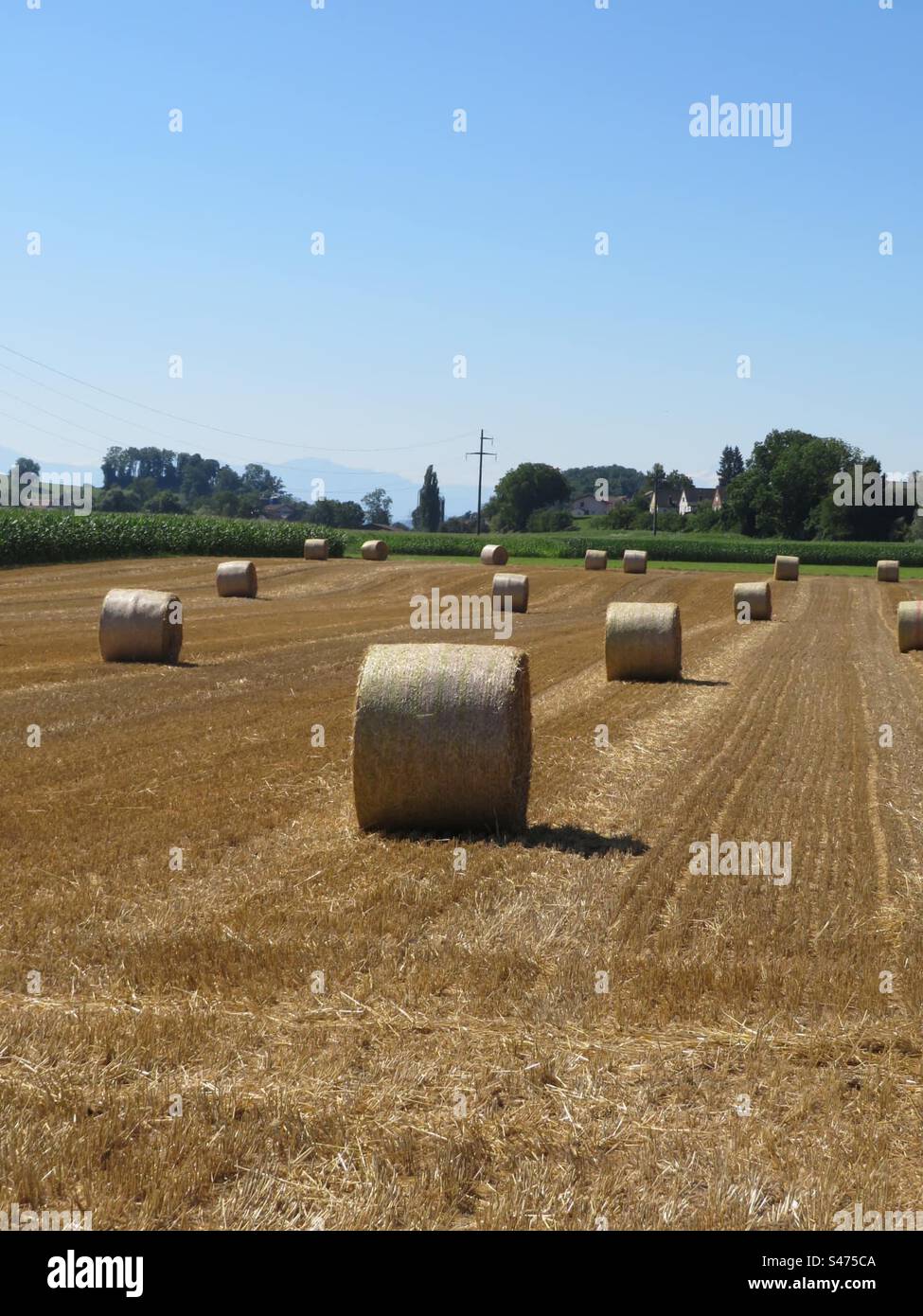 Hay Bales! Switzerland! - Smartphone Captured Stock Image
