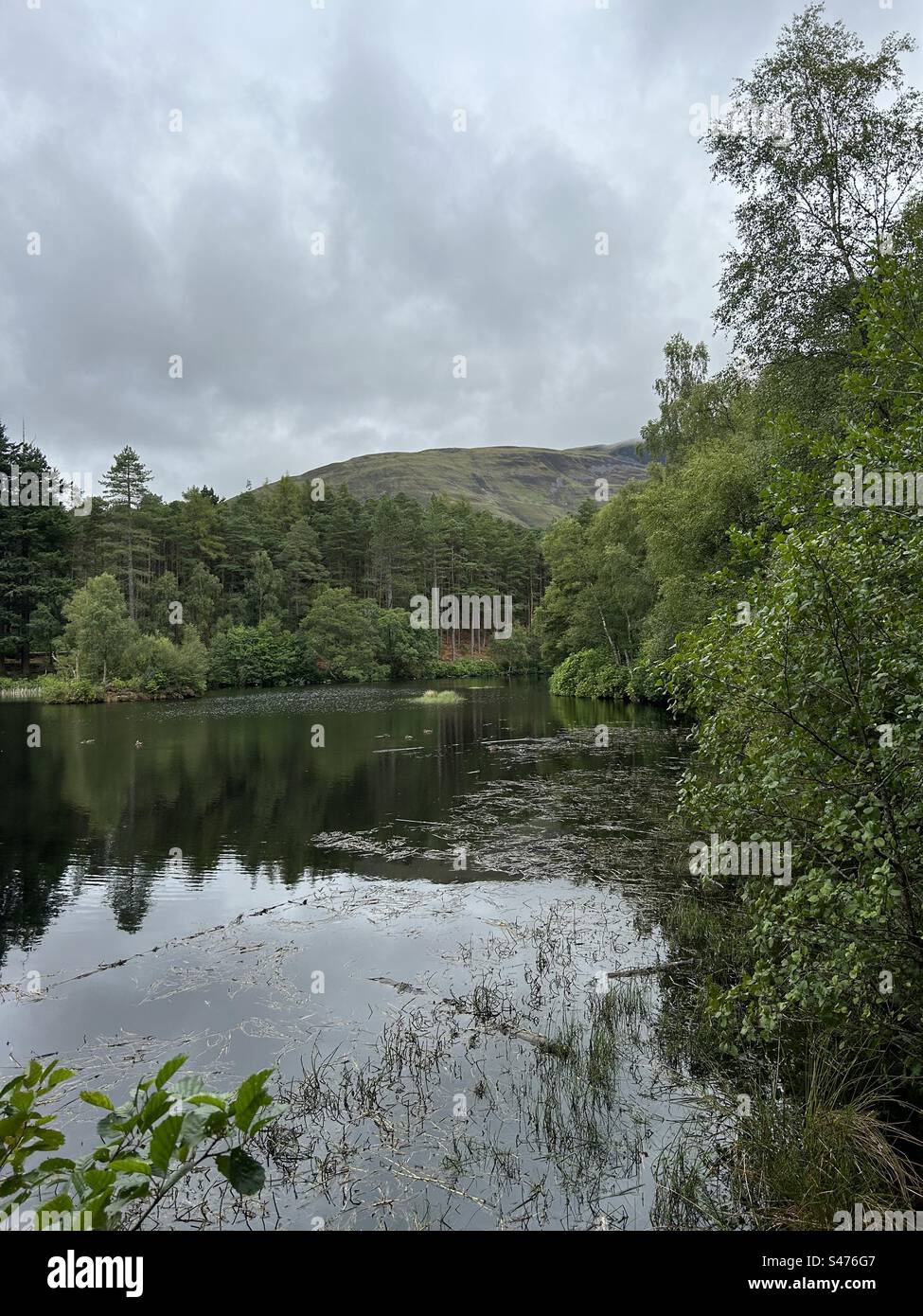Glencoe Lochan Trails, near Ballachulish, Scotland. Nature walks in Scotland. - Smartphone Captured Stock Image