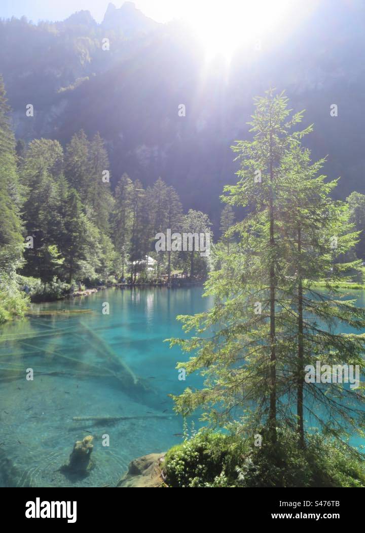 Blausee! Switzerland! - Smartphone Captured Stock Image