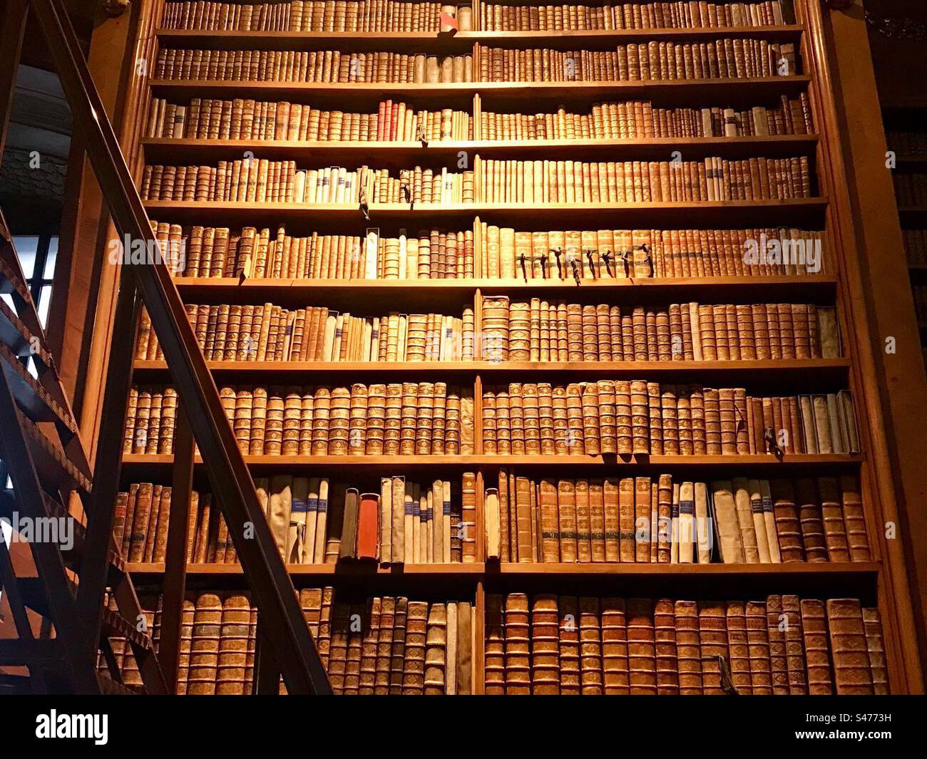 Bookcase and rolling ladder in the Austrian National Library, Vienna - Smartphone Captured Stock Image Bookcase and rolling ladder in the Austrian National Library, Vienna - Smartphone Captured Stock Image