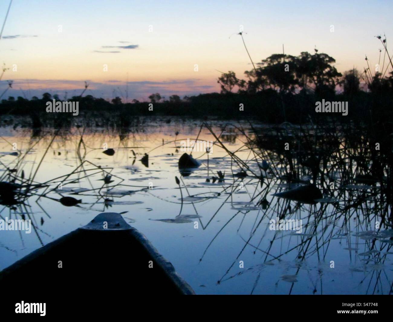 Watching sunset over the Okavango Delta in a Mokoro, Botswana - Smartphone Captured Stock Image